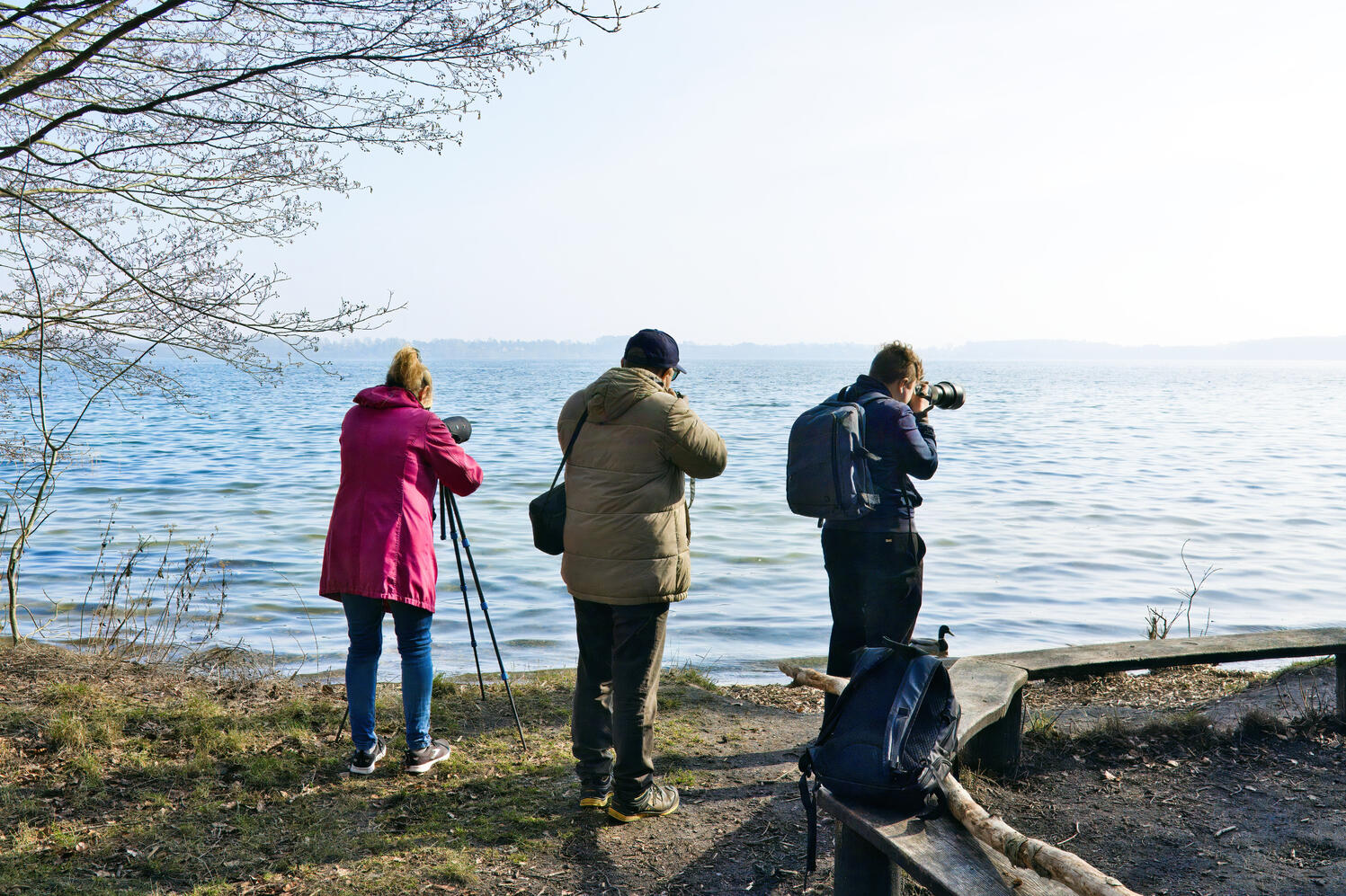 Credit | Fleur Dworak