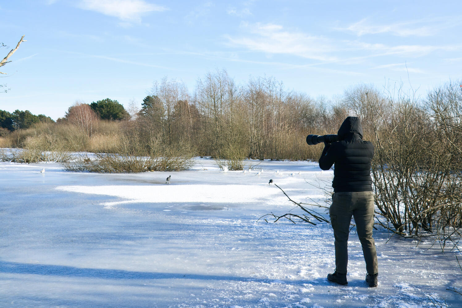 Credit | Fleur Dworak