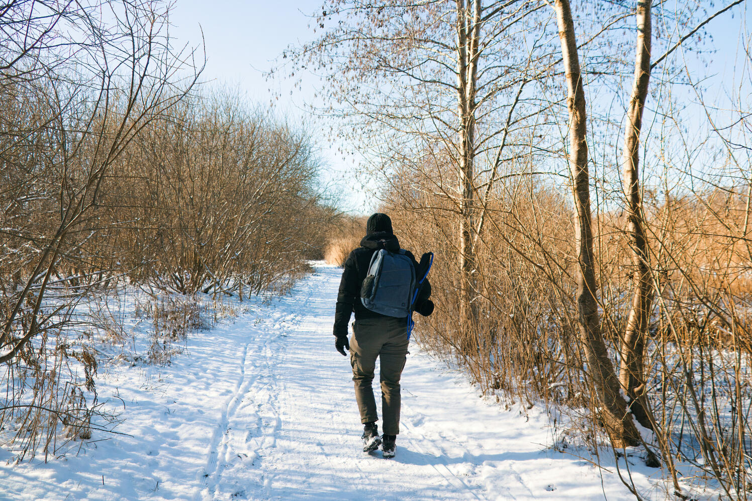 Credit | Fleur Dworak