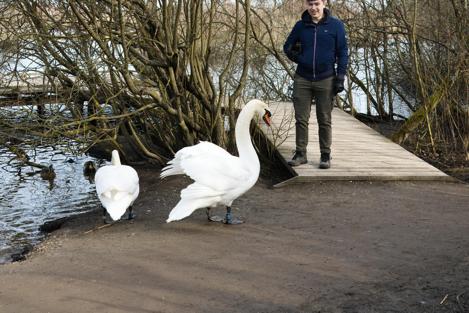 Credit | Fleur Dworak