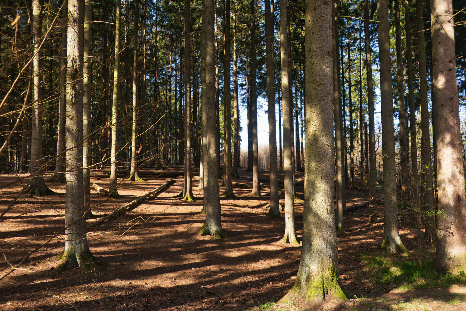 Credit | Oliver Dybdal Booth