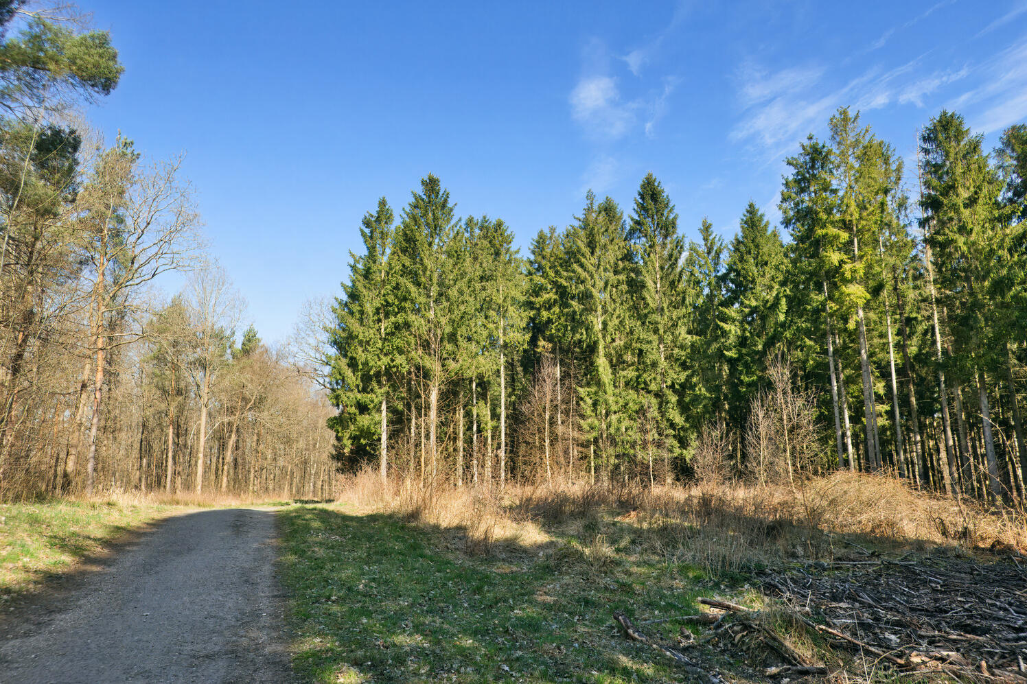 Credit | Oliver Dybdal Booth