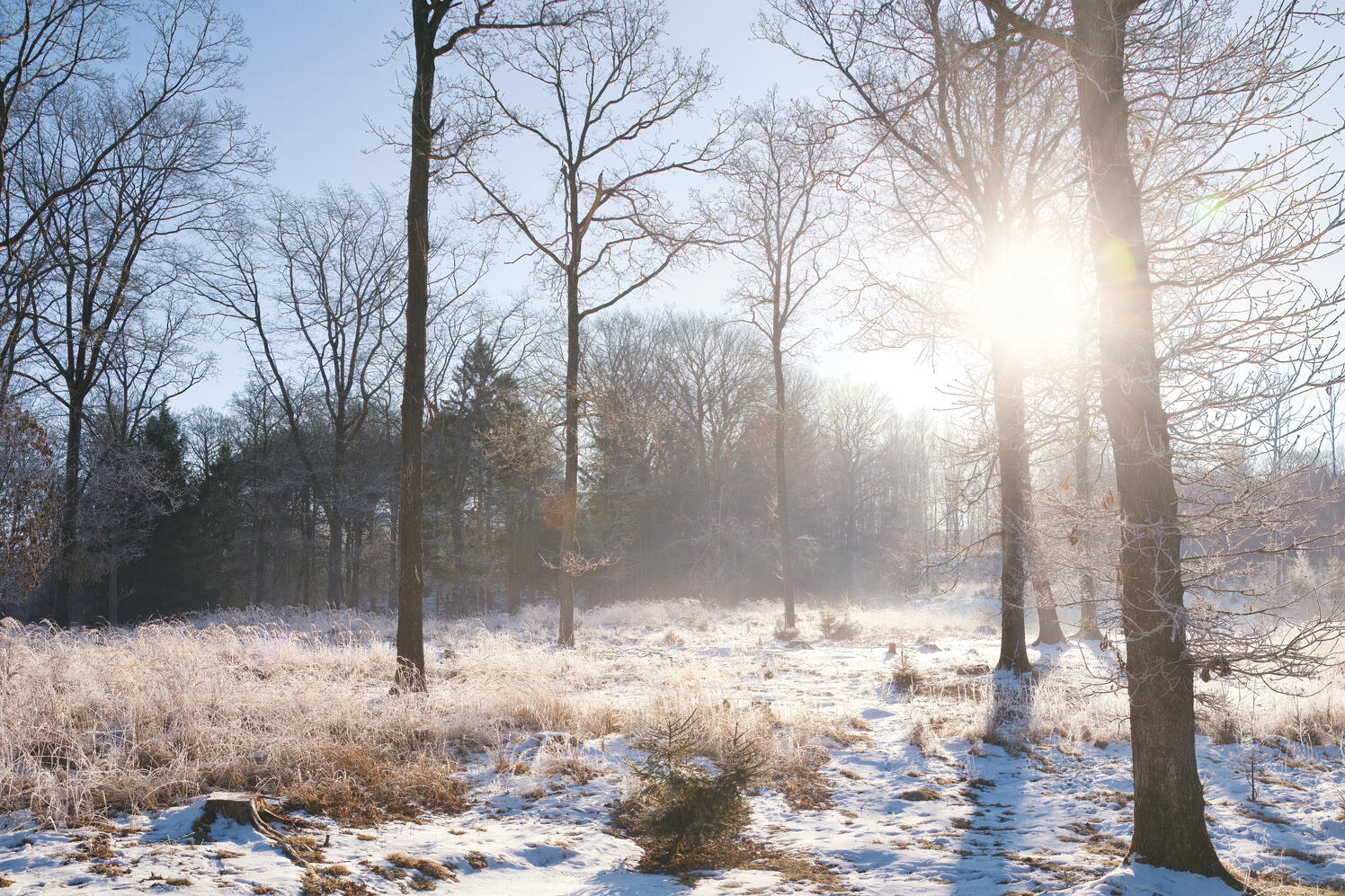 Credit | Oliver Dybdal Booth