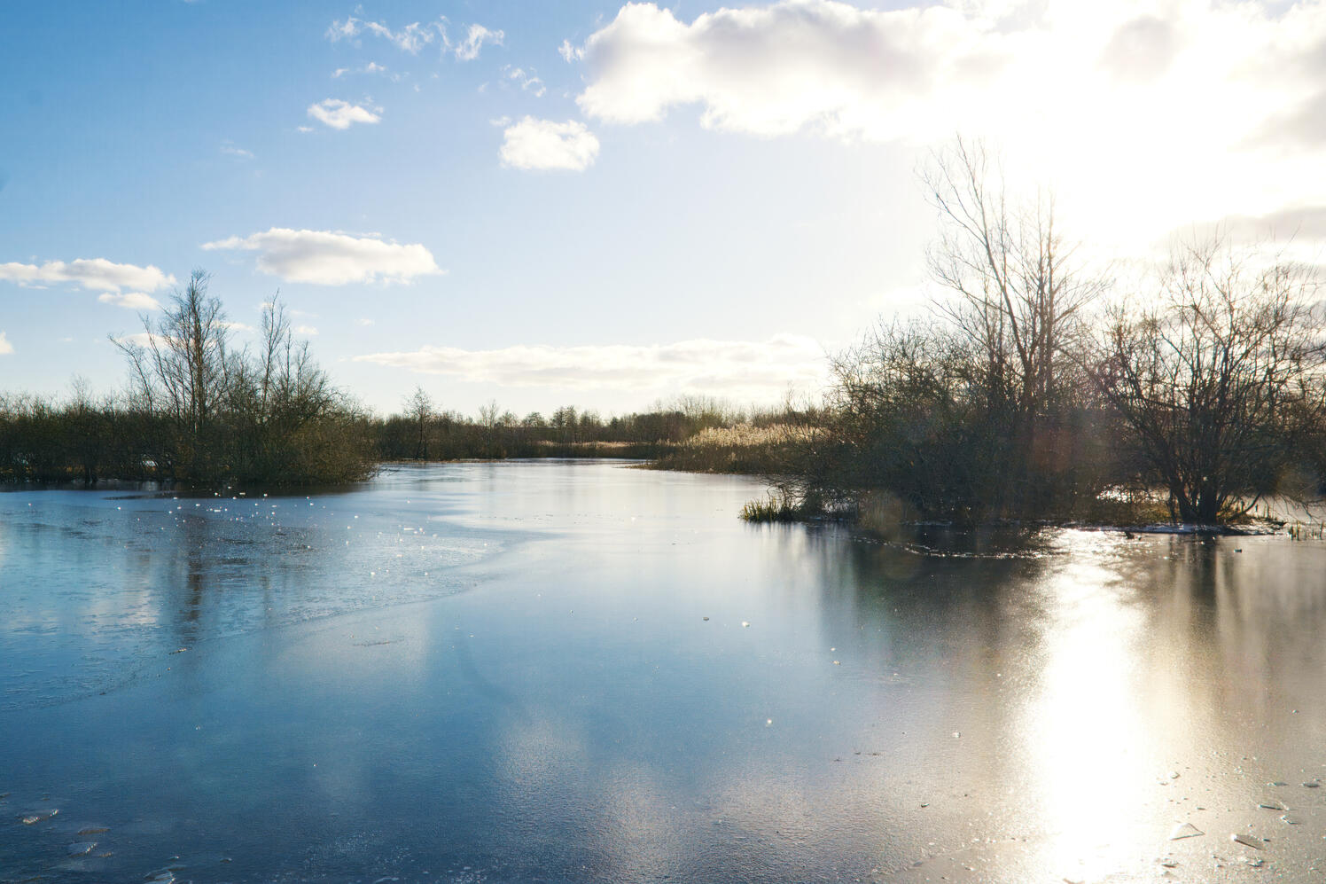 Credit | Fleur Dworak