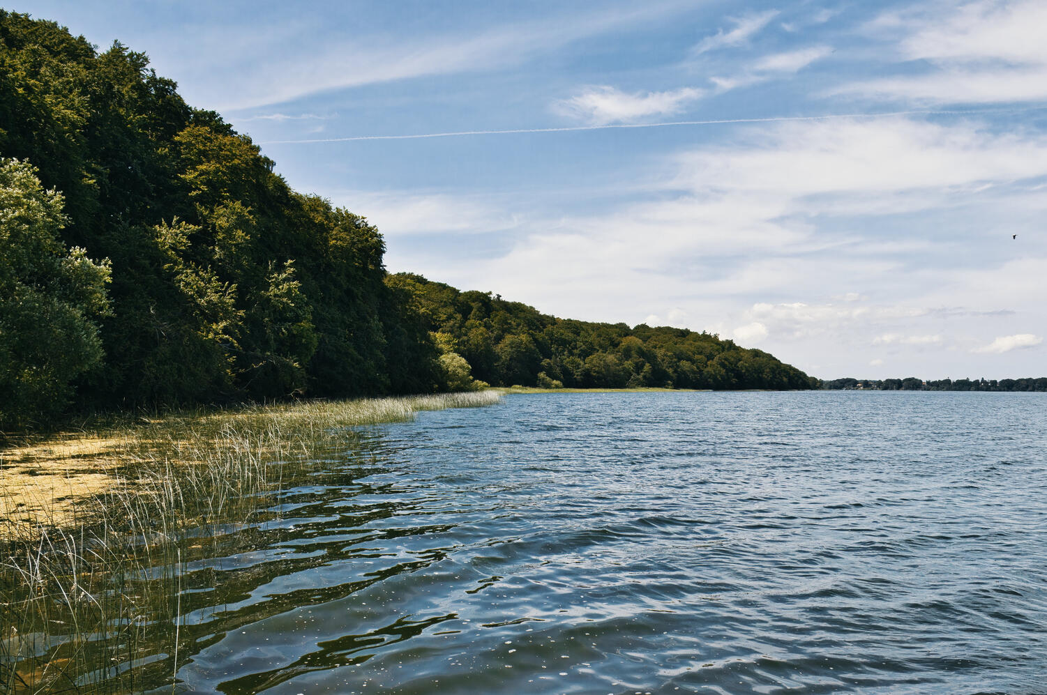 Credit | Oliver Dybdal Booth