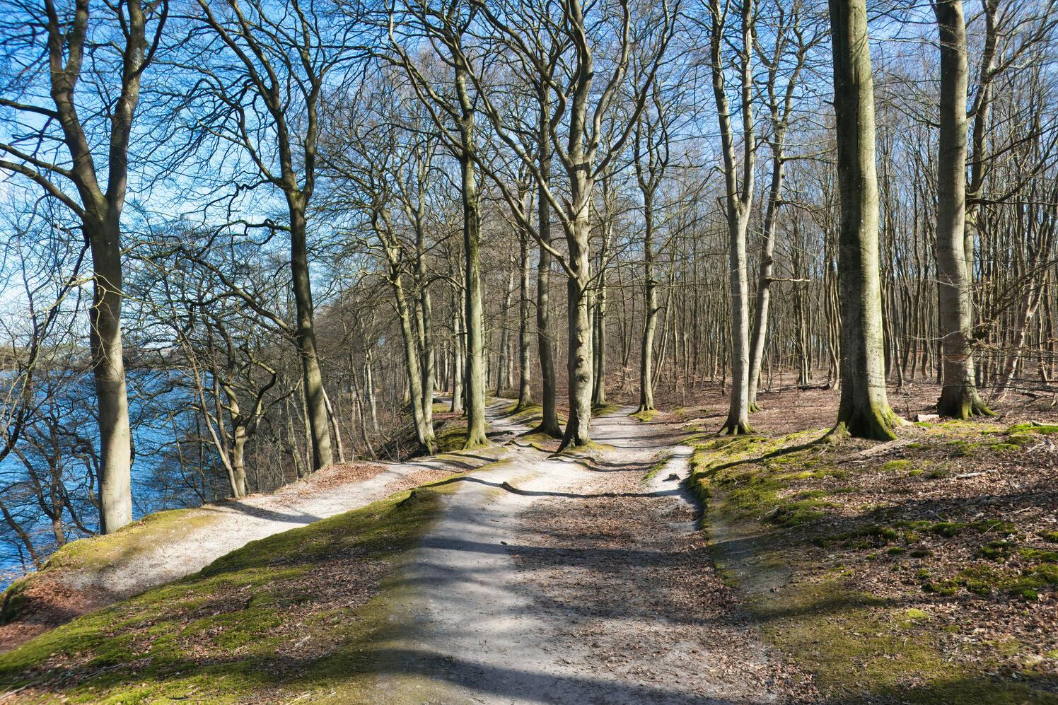 Credit | Oliver Dybdal Booth