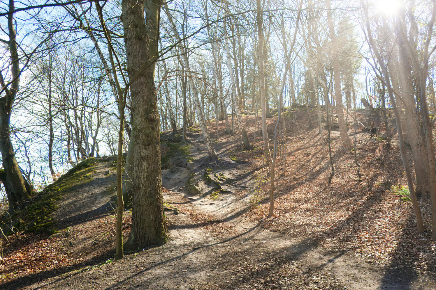 Credit | Oliver Dybdal Booth