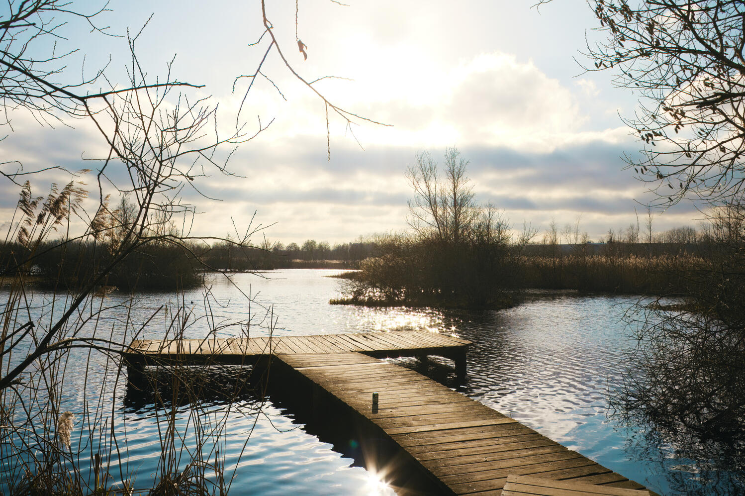 Credit | Fleur Dworak