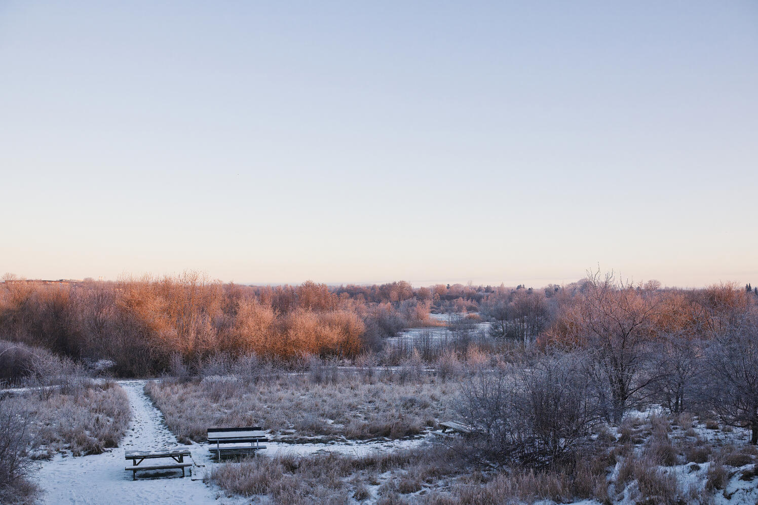 Credit | Oliver Dybdal Booth