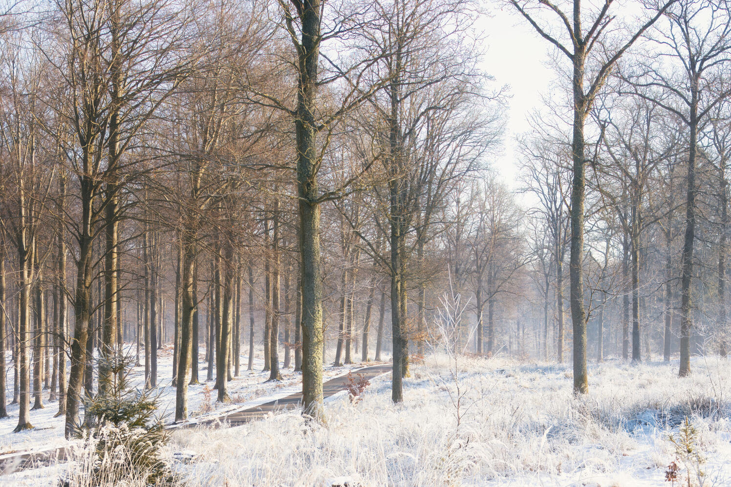 Credit | Oliver Dybdal Booth