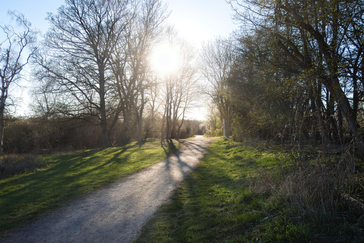 Credit | Oliver Dybdal Booth