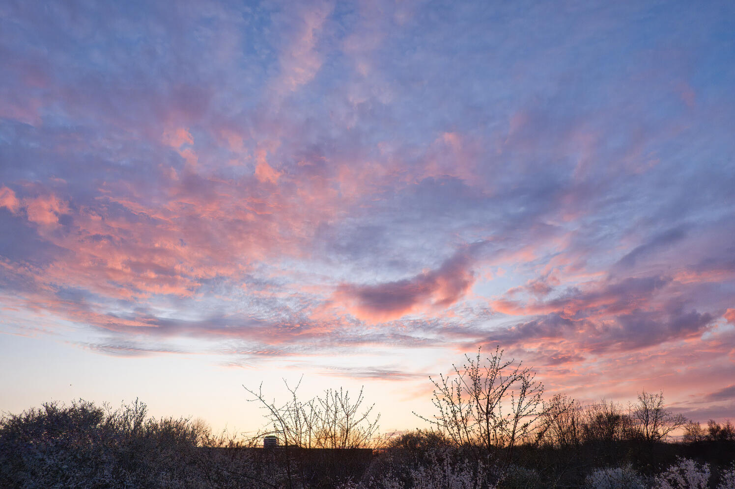 Credit | Oliver Dybdal Booth