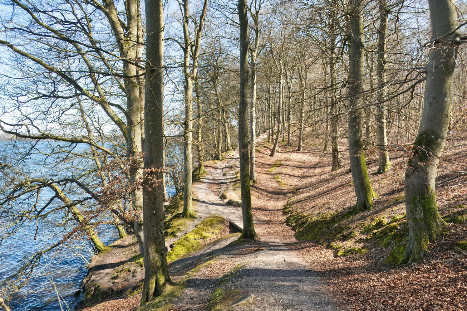 Credit | Oliver Dybdal Booth