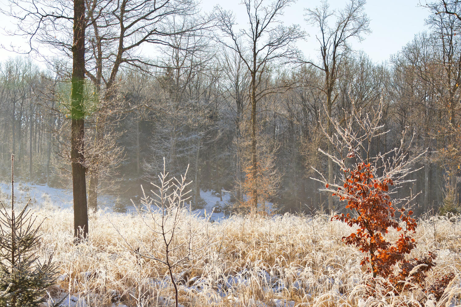 Credit | Oliver Dybdal Booth