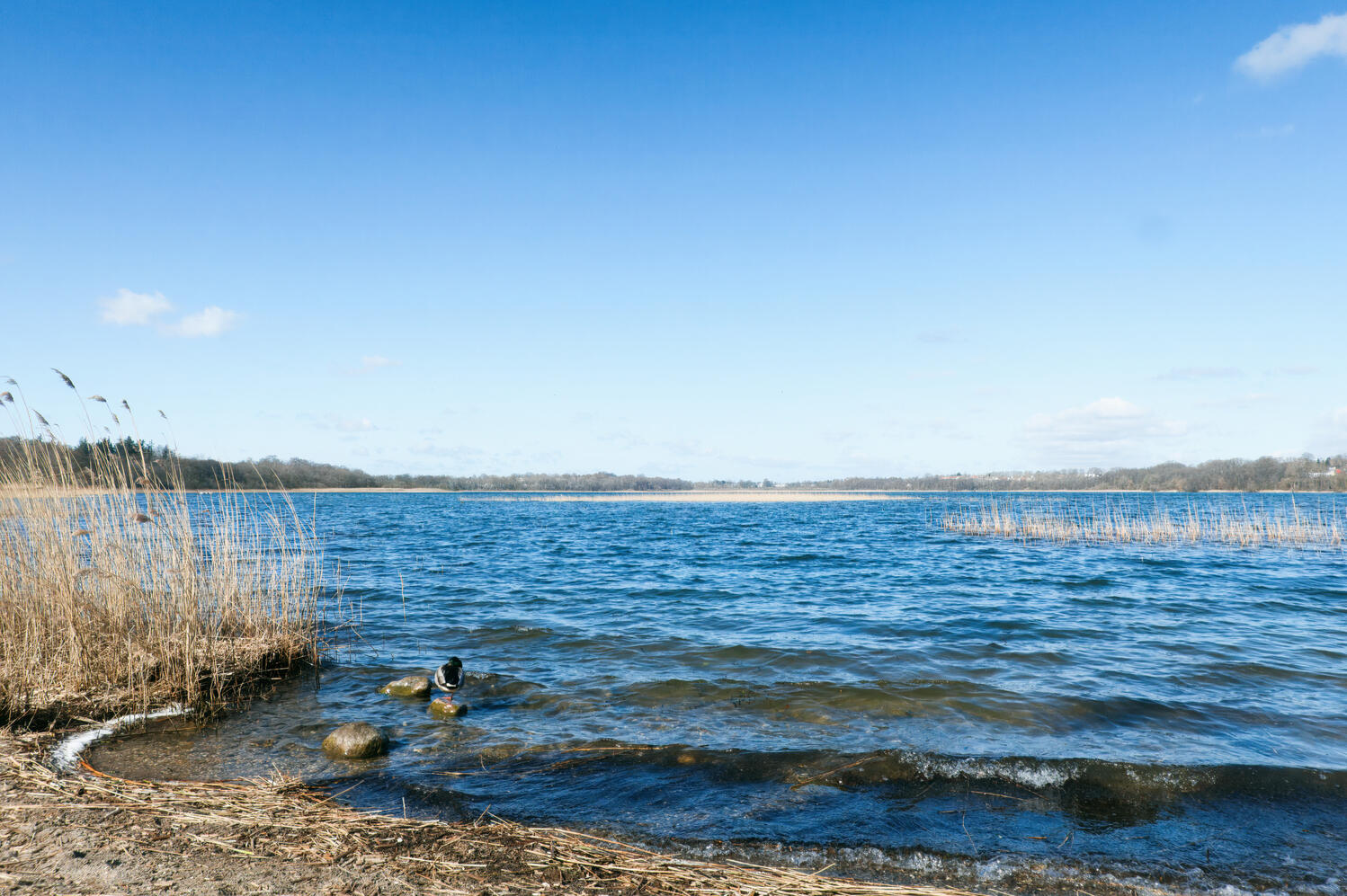 Credit | Oliver Dybdal Booth